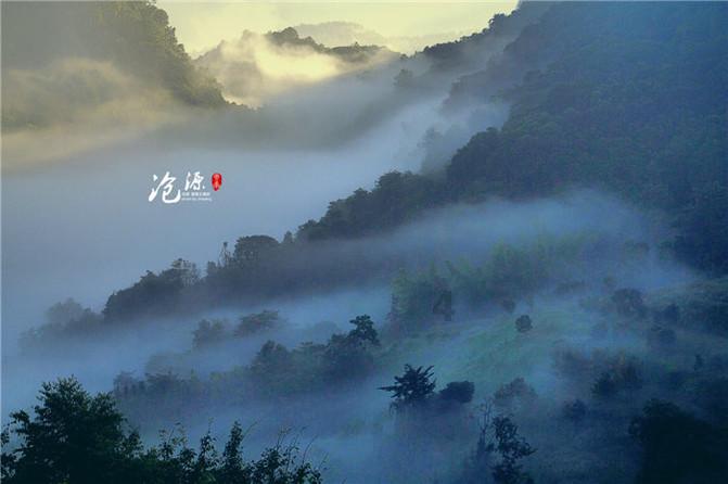 僵尸粉碎机